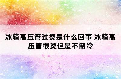 冰箱高压管过烫是什么回事 冰箱高压管很烫但是不制冷